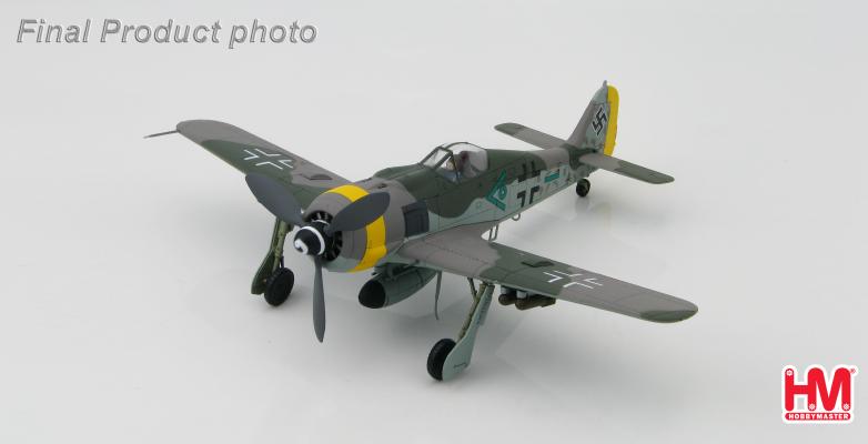 FW190 F-9 Munich, Germany, Spring 1945